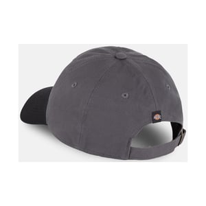 Dickies Everyday Dickies Katoenen Twill Unisex Volwassenen Grijze Baseball Caps