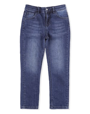 Jeans Lion