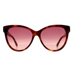 Moncler ML0283 52T havana bordeaux gradiÃ«nt zonnebril
