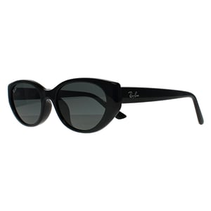 Ray-Ban RB4457D Bio Based 667787 gepolijst zwart donkergrijs zonnebril