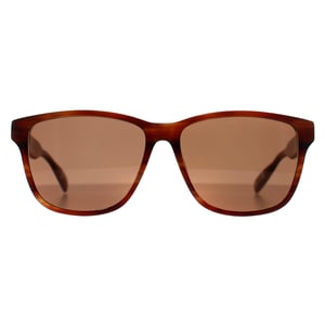 Ted Baker TB8232 151 bruin hoornen zonnebril