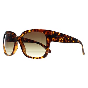 Calvin Klein CK22549S 240 glanzende zonnebril havana bruin met kleurverloop