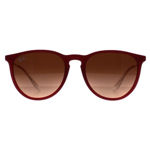 Ray-Ban RB4171 Erika 6815A5 gepolijst rubber violet roze gradiÃ«nt bruin zonnebril