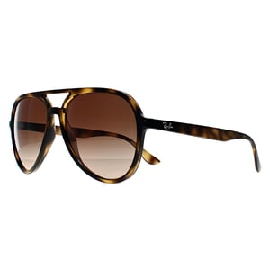 Ray-Ban RB4376 710 gepolijst havana bruin gradiÃ«nt zonnebril