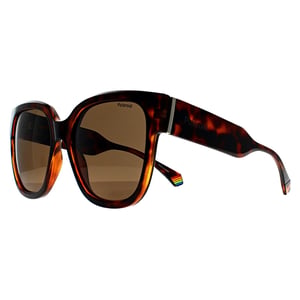 Polaroid PLD 6167/S 086 SP havana brons gepolariseerde zonnebril