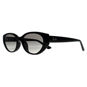 Ray-Ban RB4457D Bio Based 667711 gepolijste zwart grijs gradiÃ«nt zonnebril