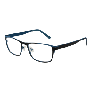 Citizen Brilframe CTZ1704 401 53