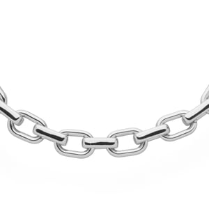 US Polo Assn Jewellery Adele Rhodium ketting