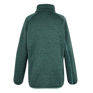 Regatta Dames/Dames Mellrey Full Zip Fleece (Sparrengroen)