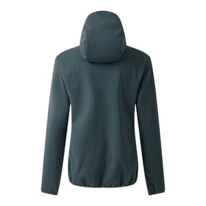 Dare 2B Dames/Dames Iced Soft Shell Jas (Element Grijs)