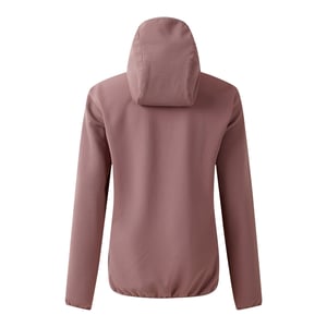 Dare 2B Dames/Dames Iced Soft Shell Jas (Heide)