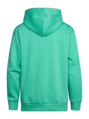 Petrol Industries - Jongens Logo Hoodie Ozark - Groen