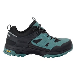 Regatta Dames/Dames Regen Laag Loopschoenen (Vuren Groen/Zwart)