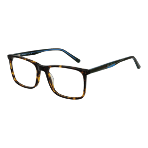 Pepe Jeans Brilframe PJ3441 c5 53