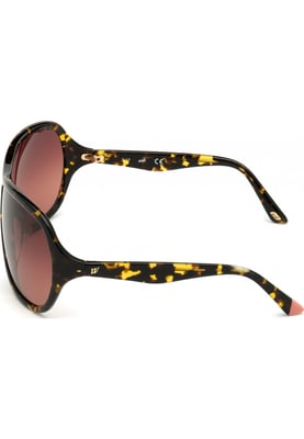 Web Eyewear WE0290-6552F WE0290 65 6552F Zonnebril