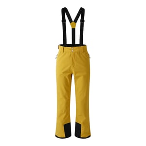 Dare 2B Heren skibroek Achieve II (Gouden vlok)