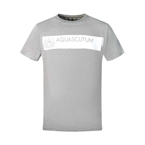 Aquascutum Heren T-shirt met blokjeslogo (Grijs)