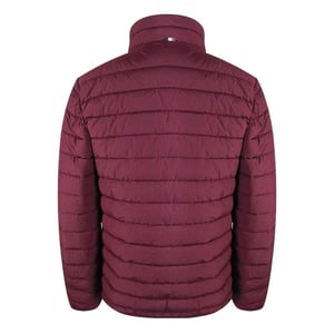 Aquascutum Heren Actief Gewatteerd Jasje (Bourgondië)