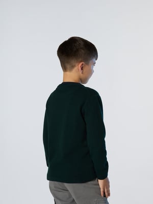 North Sails Trui Met geborduurd logo