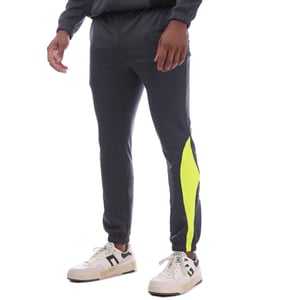 Puma Heren King Pro Trainingsbroek (Grijs)