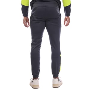 Puma Heren King Pro Trainingsbroek (Grijs)