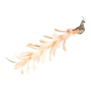 Premier Pauw Kerstdecoratie (Goud)