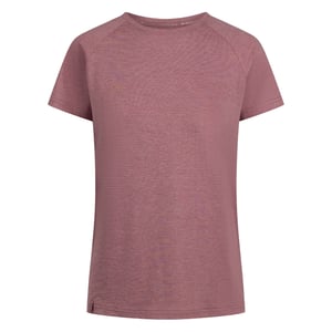 Trespass Dames/Dames Josefina DLX T-Shirt (Anjer Mergel)
