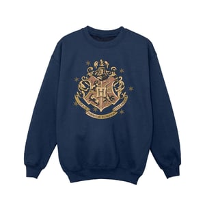 Harry Potter Meisjes Goud Zweinstein Sweatshirt (Marineblauw)