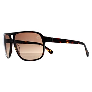 Timberland Aviator Heren Donker Havana Bruin Gepolariseerd TB00031