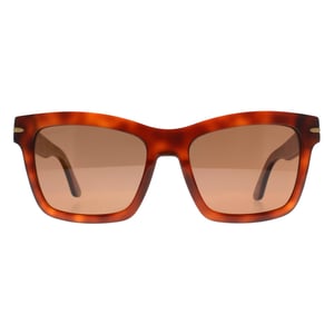 Serengeti Square Womens Shiny Classic Havana Mineral Polarized Drivers Winona