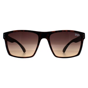 Superdry Heren Havana Bruin Kobe