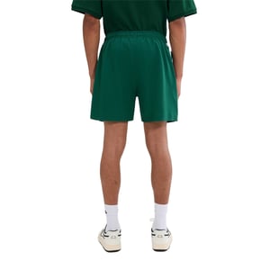 Ellesse Heren Dremonte Shorts (Donkergroen)