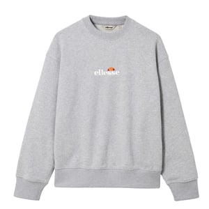 Ellesse Heren Kiamto 2 Hoodie (Licht Grijs Marl)