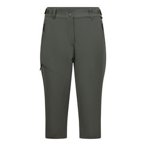 Trespass Dames/Dames Agneta DLX 3/4 lange broek (Rookgroen)