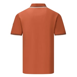 Regatta Heren Adryan Poloshirt (Baksteen)
