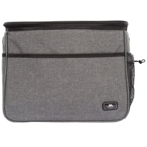 Trespass Nukool koeltas 15L (Grijze Mergel)