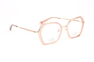 Ana Hickmann Optical Frame HI1249T T01 54 Titanium