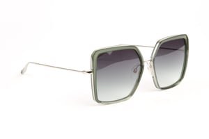 Ana Hickmann Sunglasses HI3196 T01 56