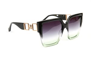 Ana Hickmann Sunglasses AH9450 C02 56