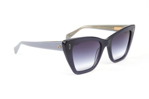Ana Hickmann Sunglasses AH9438 T01 53