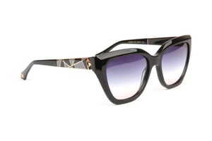 Ana Hickmann Sunglasses AH9430 A01 55