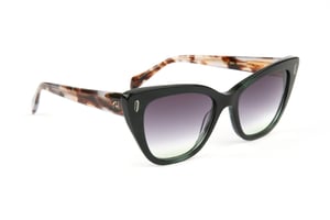 Ana Hickmann Sunglasses AH9437 E01 53