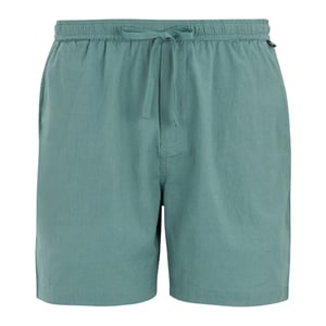 Regatta Heren Hadlin Shorts (Arctic)