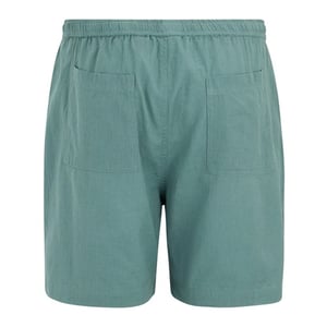 Regatta Heren Hadlin Shorts (Arctic)