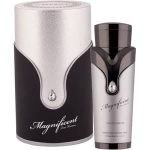 Armaf Magnificent Pour Homme 100ml EDP Spray