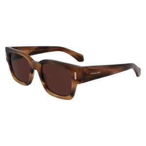Ferragamo Bruine Acetaat Zonnebril