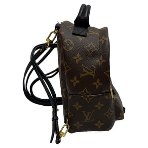 Louis Vuitton Monogram Palm Springs Mini Rugzak in Bruin Canvas