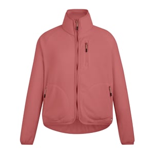 Regatta Dames/Dames Frankie Full Zip Fleecejack (Leisteen)