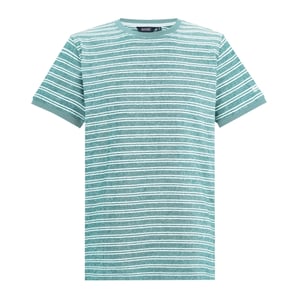 Regatta Heren Benlin Gestreept T-Shirt (Arctisch Wit)