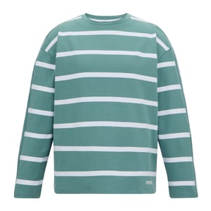 Regatta Dames/Dames Avira Sweatshirt (Ivy Mos/Wit)
